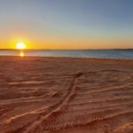 20210831_175328 20210831_175328