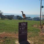 20240606_111856 20240606_111856